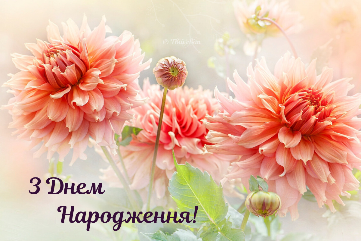 Вітаємо з ювілеєм!